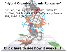 Hybrid Organic-Inorganic Rotaxanes